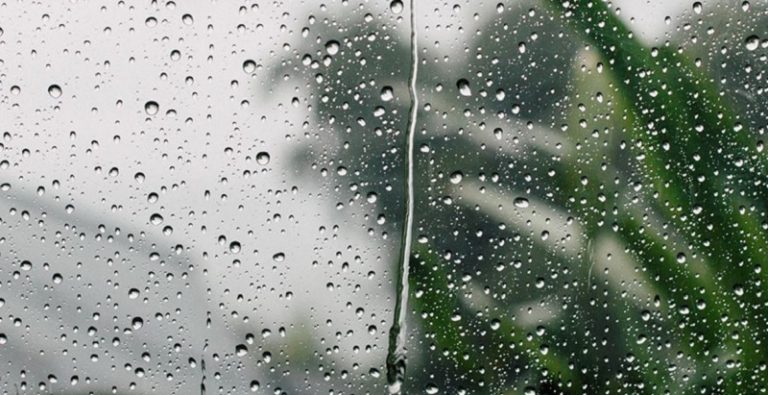 بالفيديو ـ عاصفة عنيفة تضرب فرنسا وتخلف ضحايا وأضرارًا