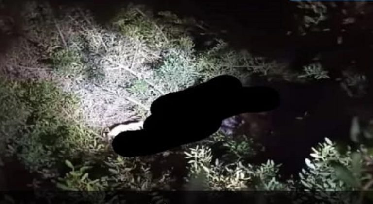 العثور على جثة متحللة على أوتوستراد صيدا ـ صور