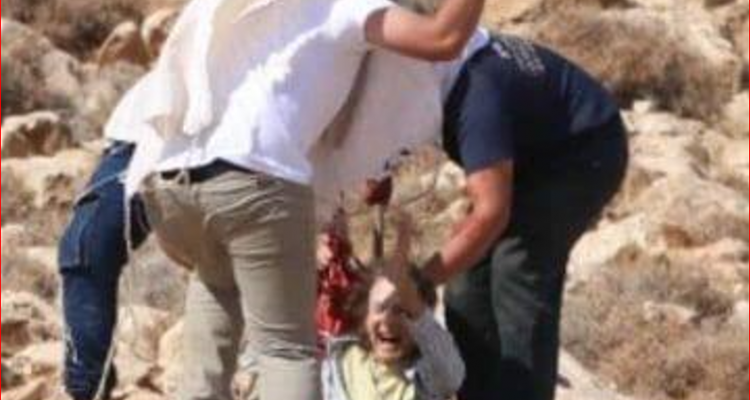 المستوطنون يطعنون متضامنة أجنبية خلال “قطف الزيتون”!