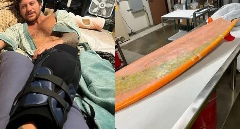 راكب أمواج يروي كيف نجا من فكي قرش عملاق..وهذا ما حدث!