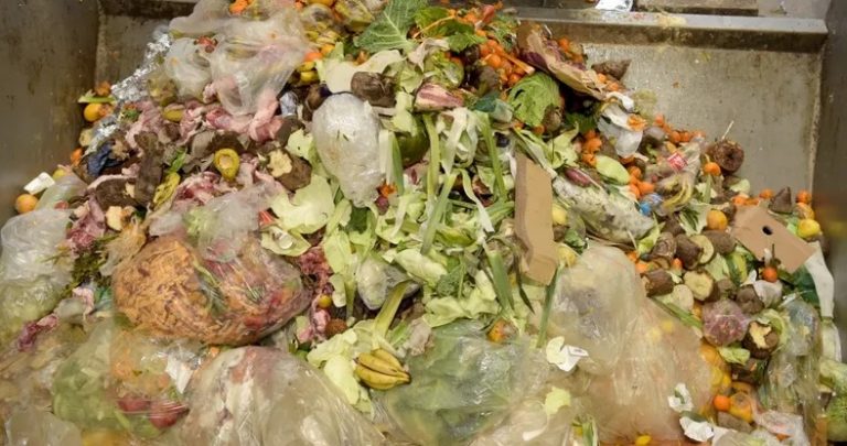 ظاهرة هدر الطعام… هل يمكن وضع حد لها؟