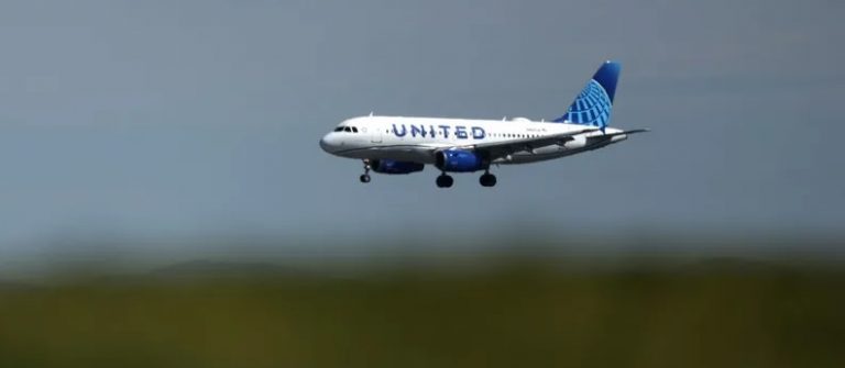 ثعبان على متن طائرة.. ويثير هلع الركاب!