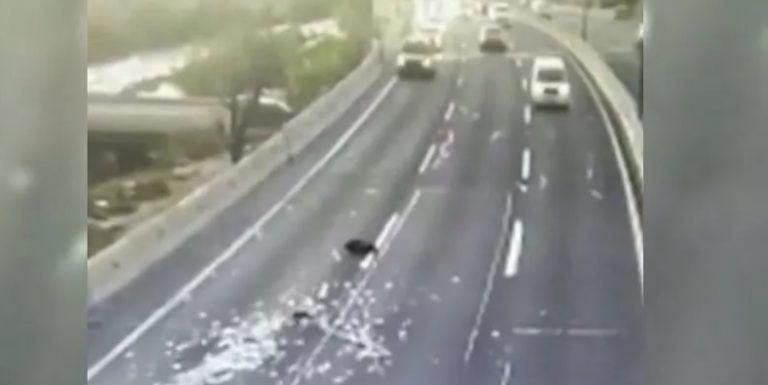 فيديو لـ”أمطار الدولارات”.. عملية سرقة انتهت بطريقة غير متوقعة!