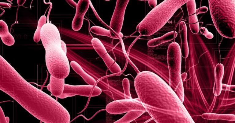 تسجيل أول إصابة بالكوليرا في الجنوب