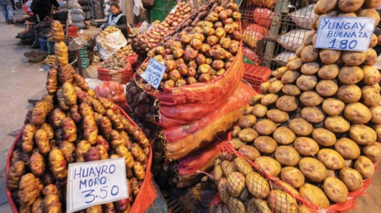التضخم يطال البطاطا في البيرو والذرة في المكسيك