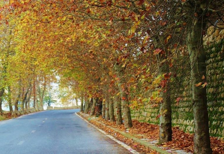 الطقس غائم.. لا تعديل على درجات الحرارة