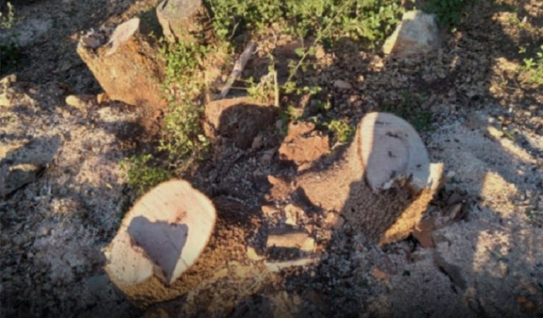 مخالفة بيئية في البيرة – عكار والوزارة تتحرك فوراً