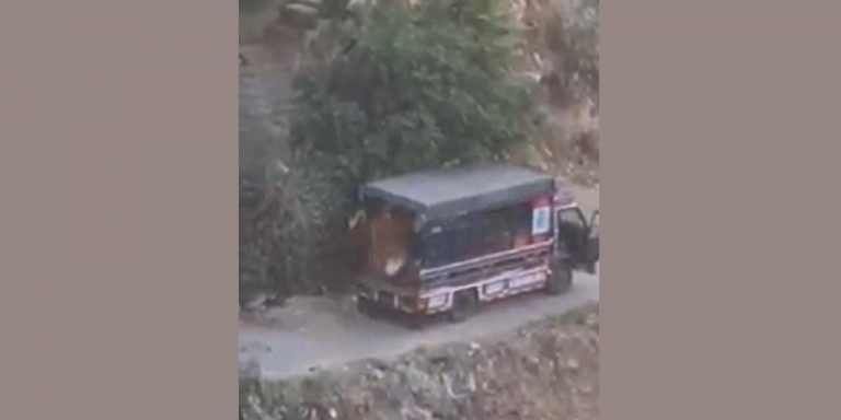 بالفيديو: رمي الدجاج النافق في مجرى “أبو علي” في طرابلس!