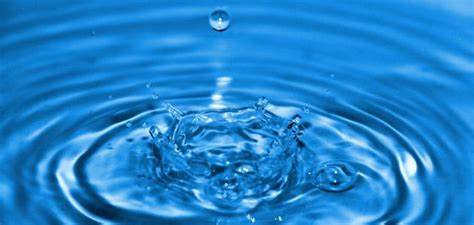 اعتصام في مؤسسة مياه لبنان الجنوبي