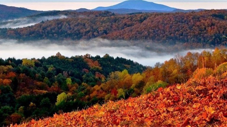 طقس خريفي يؤثر على لبنان… هل تتساقط الأمطار؟