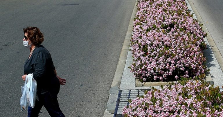 ستة ملايين دولار للأشجار والأزهار: بلدية بيروت تزرع… شبيب يحصد