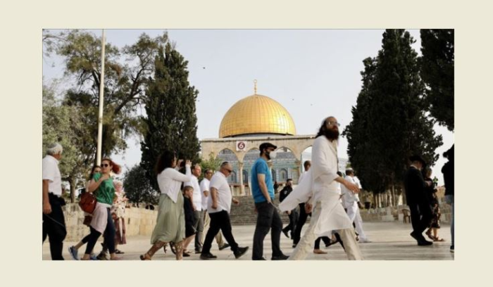 المستوطنون يقتحمون مسجد الأقصى