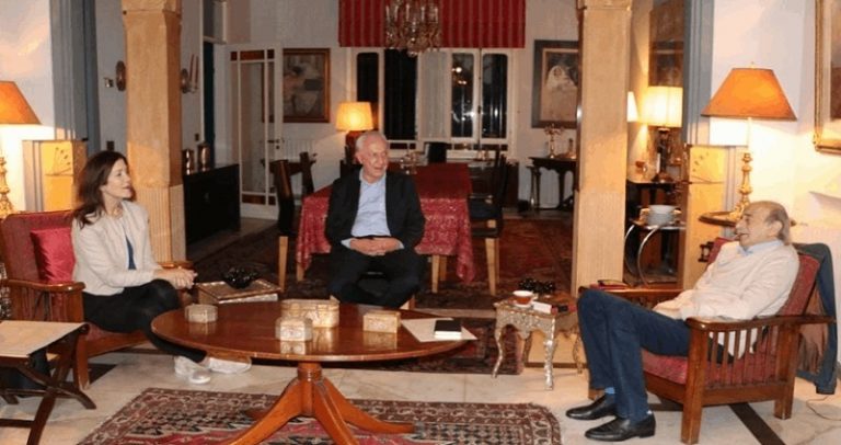 جنبلاط بحث المستجدات السياسية مع شيا