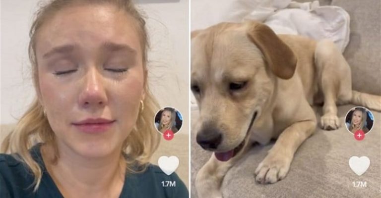 بالفيديو: إلتهم كلبها 2700 دولار.. فهكذا كانت ردة فعلها