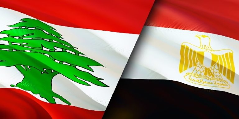 ترحيب حكومي بالموقف المصري