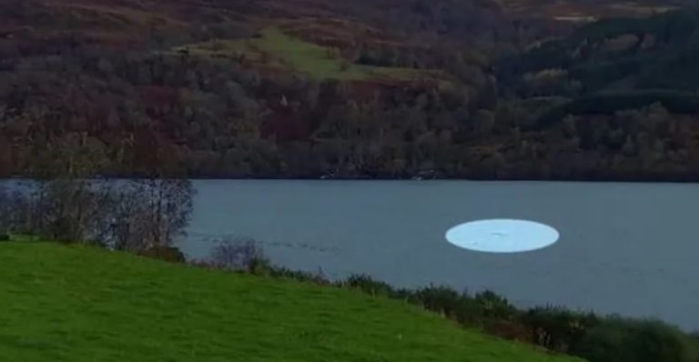 وحش غريب.. صياد يوثق لحظات مثيرة في بحيرة بولندية