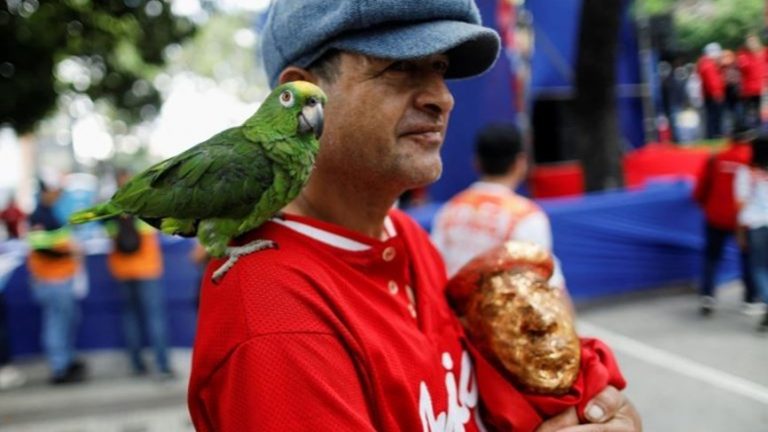 بالفيديو.. ببغاء يربك مراسل على الهواء ويسرق سماعته