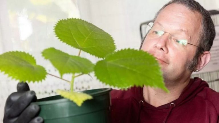 بريطاني قرر التغلب على الملل بالزراعة المنزلية