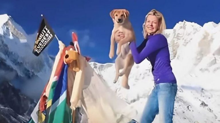 أول كلبة تتسلق قمة إيفرست.. اليكم قصة “روبي” الكاملة