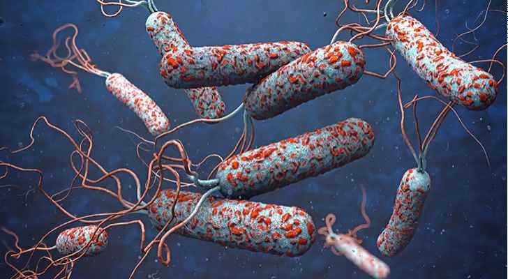 87 إصابة كوليرا جديدة في لبنان