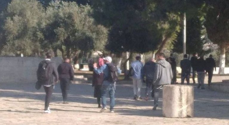 بالفيديو: الاحتلال يهدم منازل ويقتحم المسجد الأقصى