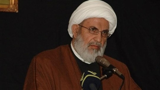 يزبك: نريد رئيسا قادرا على الإنقاذ والمحافظة على السيادة