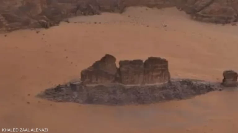 الصخرة “السمكة” تُثير الدهشة في السعودية