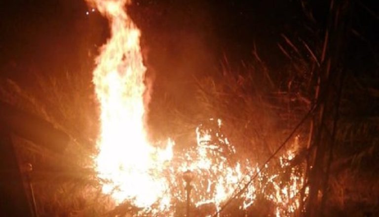 حريق كبير بموقف النبعة في صيدا