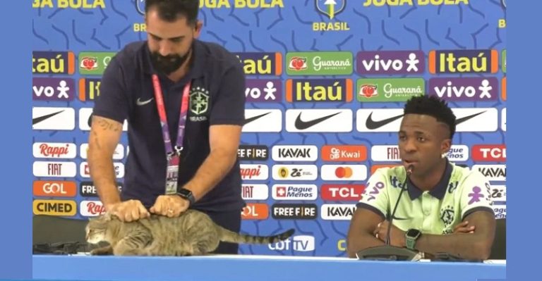 فيديو طريف.. قطة تقتحم المؤتمر الصحفي لمنتخب البرازيل