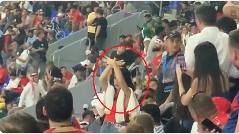 بالفيديو.. طرد مشجعة من مباراة صربيا وسويسرا