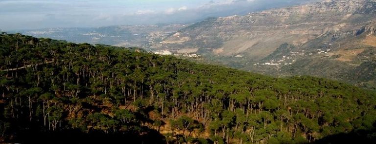 ارتفاع أسعار العقارات في الجنوب مع بدء التحضير للتنقيب!