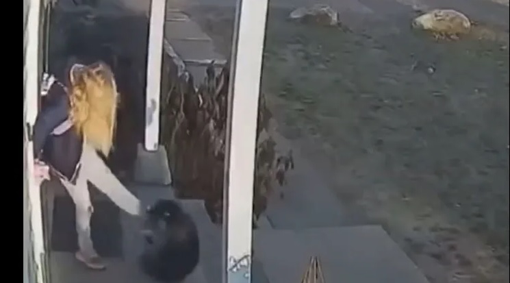 بعد هجوم غادر.. أم تنقذ طفلتها في اللحظات الاخيرة (فيديو)