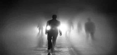 “الحياة الطويلة” لدى الإنسان.. دراسة فريدة تكشف السر