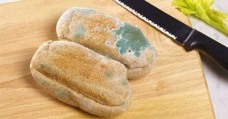 ما هي أضرار عفن وفطريات الطعام؟