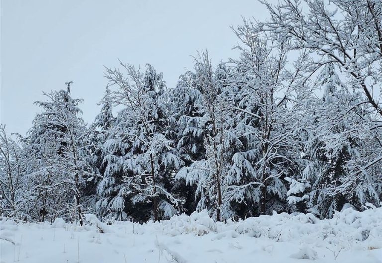 هذه الطرق الجبلية مقطوعة