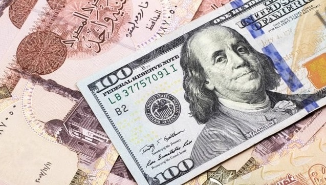 الجنيه المصري يسجل هبوطاً قياسياً