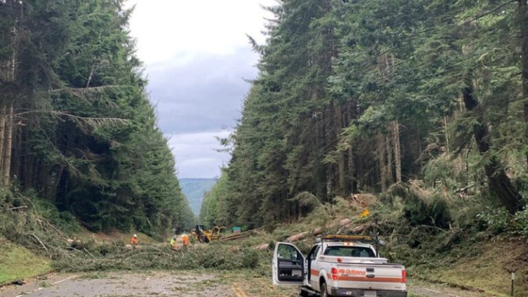 أميركا تنتظر “الزلزال الكبير” في كاليفورنيا!