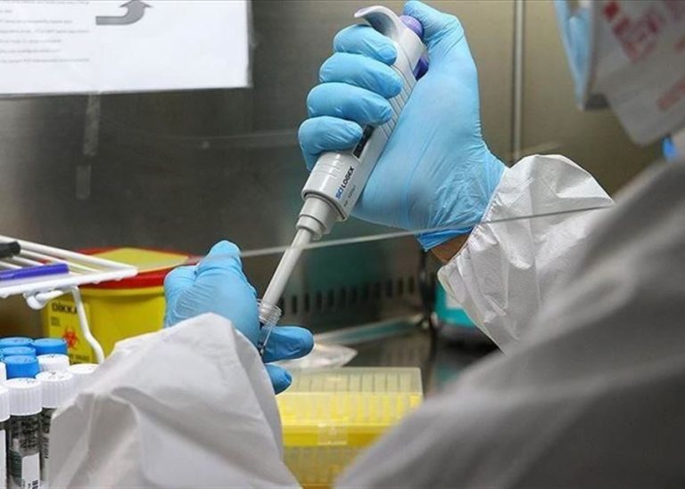 ما جديد أرقام الكوليرا في لبنان؟