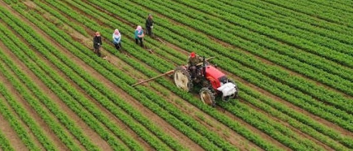 لمواجهة المنخفض الجوي… توصيات إلى المزارعين!