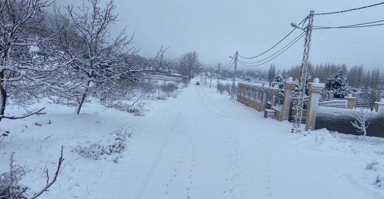 بالصور والفيديو.. “الزائر الابيض” يغطي المرتفعات الشمالية