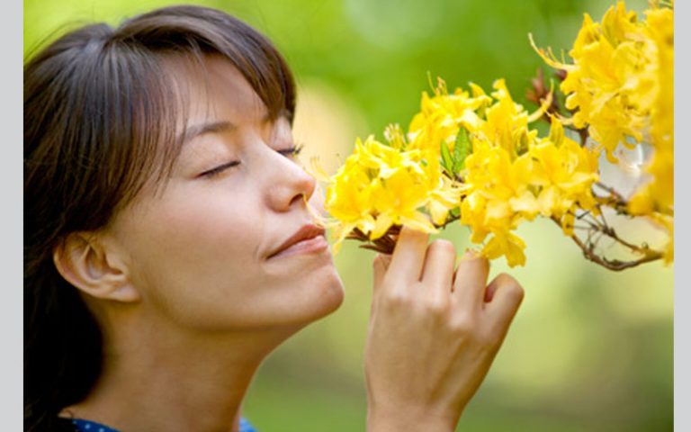 بعد “كوفيد 19”.. لماذا نعاني من ضعف حاسة الشم؟