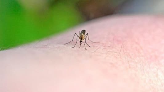 إبتكار جديد للحماية من البعوض 8 ساعات