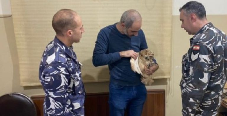 توقيف شخص عرض طائراً مهدداً بالانقراض للبيع