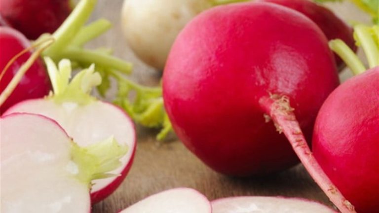 فجلة عملاقة في الدوير.. كم بلغ وزنها(صورة)؟