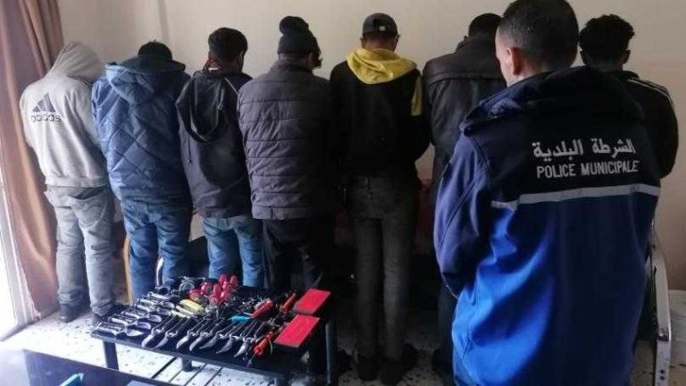 في كفر رمان.. عصابة سرقة بقبضة شرطة البلدية