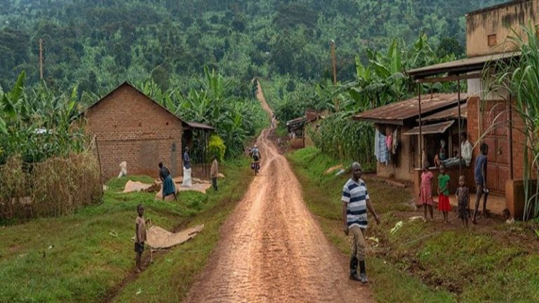 الصحة العالمية: انتهاء تفشي وباء “إيبولا” في أوغندا