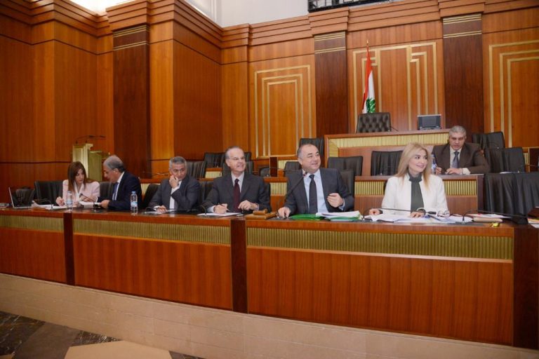 بالصور.. اللجان المشتركة تدرس مشروع الكابيتال كونترول