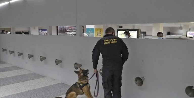 كوكايين داخل آلة موسيقية في المطار