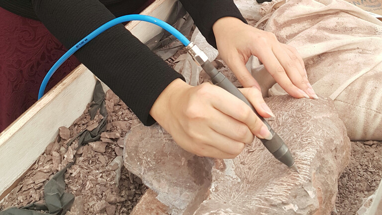 بالفيديو: العثور على أقدم دماغ بسمكة عمرها 319 مليون عام