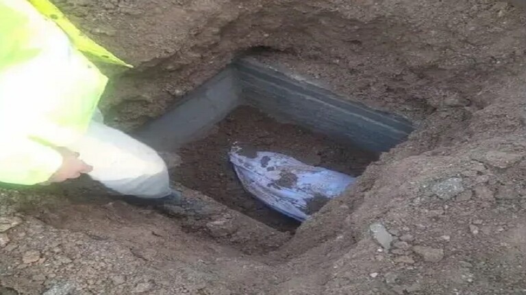 ادعت موتها.. فنصبت على 3 شركات تأمين على الحياة (صور)